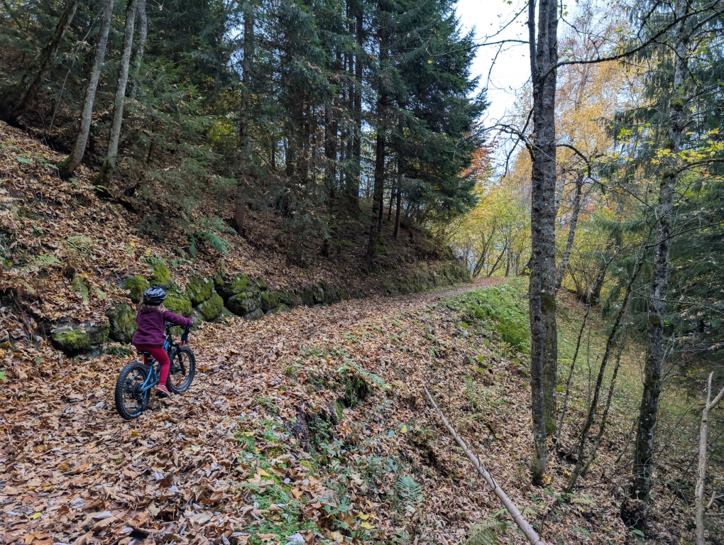 L'automne, il faut deviner le chemin...